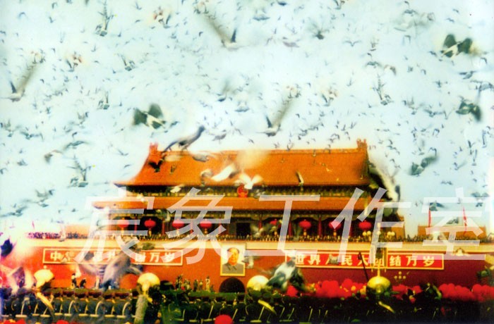 國慶50周年慶典放飛55000羽和平鴿